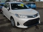 Toyota Axio G HYBRID 2019