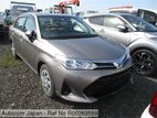 Toyota Axio G Hybrid 2019