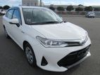 Toyota Axio G Hybrid 2019