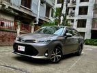 Toyota Axio G LED 2019