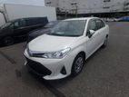 Toyota Axio G LED 2019