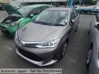 Toyota Axio G LED NON HYBRID 2019