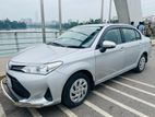 Toyota Axio G LIMITED 2019