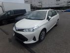 Toyota Axio G Non HV Beige (Int) 2019