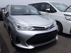 Toyota Axio G Non Hybrid 2019