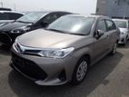 Toyota Axio G Non Hybrid Push 2019