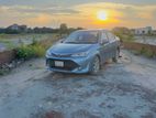 Toyota Axio . 2015