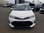 Toyota Axio G Package Hybrid 2019