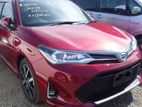 Toyota Axio G Pkg 2018