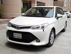 Toyota Axio G Push 2016