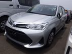 Toyota Axio G Push 2019