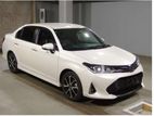 Toyota Axio G-WXB PEARL NON HYBD 2019