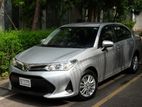 Toyota Axio Hybrid 2019