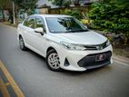 Toyota Axio Hybrid 2019