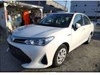 Toyota Axio Hybrid EX Push 4AP 2019