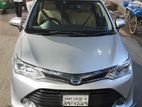 Toyota Axio hybrid G package 2016