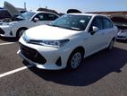 Toyota Axio Hybrid G_Pearl 2019