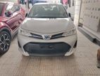 Toyota Axio Hybrid Ready Showrom 2019