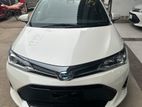 Toyota Axio Hybrid WXB 2019