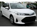 Toyota Axio Hybrid- X 2019