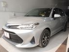 Toyota Axio Hybrid X 2019