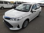 Toyota Axio Hybrid X 2019