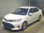 Toyota Axio Hybrid X 4 Grade 2019