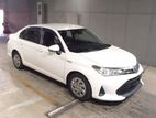 Toyota Axio Hybrid X-READY STOCK 2019