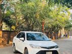 Toyota Axio new shape 2015