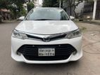 Toyota Axio New Shape 2017
