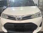 Toyota Axio New shape 2019