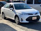 Toyota Axio Non Hybrid 2019