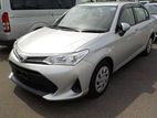 Toyota Axio Non Hybrid 2019