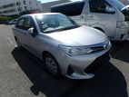 Toyota Axio NON HYBRID 2019