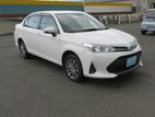 Toyota Axio Non Hybrid 2019