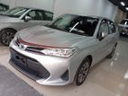 Toyota Axio NON HYBRID 2019