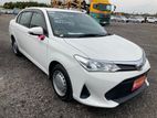 Toyota Axio Non Hybrid 2019