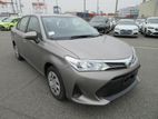 Toyota Axio Non_Hybrid_Brown 2019