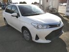 Toyota Axio Non Hybrid EX 4 AP 2020