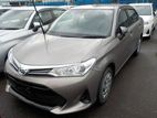 Toyota Axio Non Hybrid G 4 AP 2019