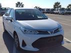 Toyota Axio Non Hybrid G Pearl 2020