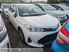 Toyota Axio Non Hybrid (P-4) 2019