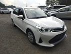 Toyota Axio Non Hybrid X 2019