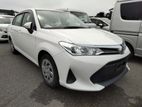 Toyota Axio NON HYBRID X 2019