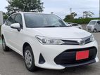 Toyota Axio NON HYBRID X 2019