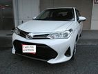 Toyota Axio Non hybrid X pkg 2019