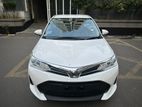 Toyota Axio octane 2020