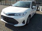 Toyota Axio Pearl 2019