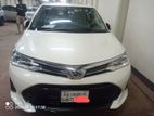 Toyota Axio pearl colour 2017