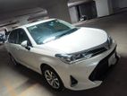 Toyota Axio push start 2017